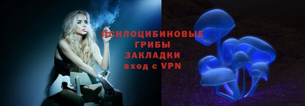 PSILOCYBIN Алзамай