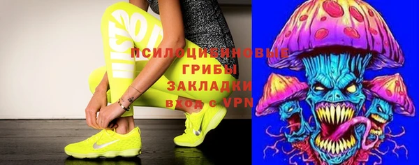 трава Армянск